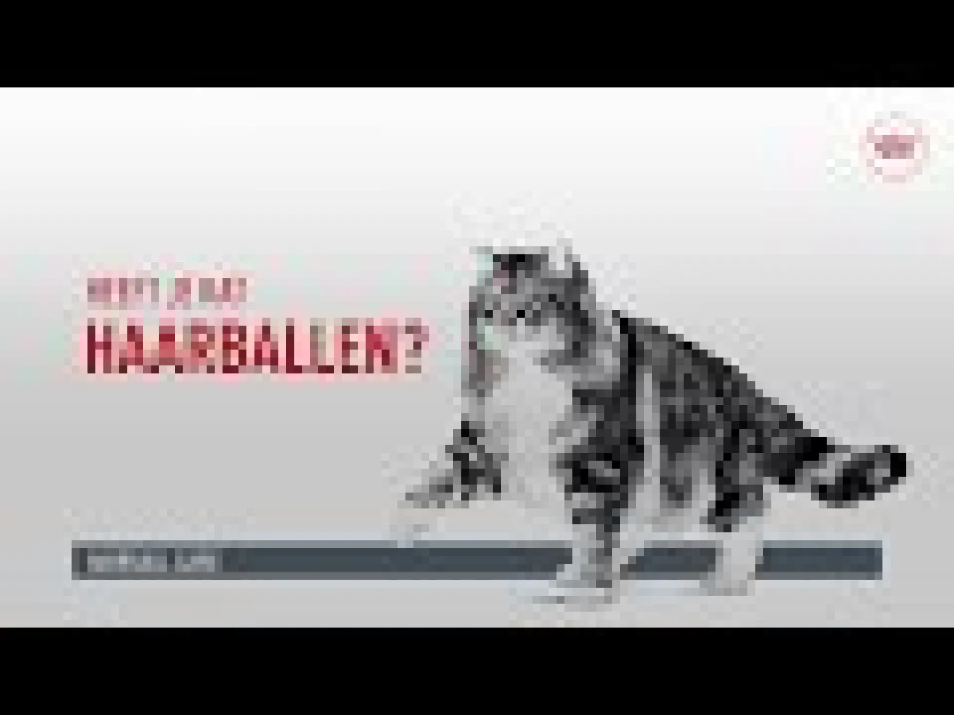 Royal Canin Hairball Care in Jelly - Cibo per gatti