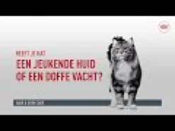Royal Canin Hair & Skin in Gravy - Cibo per gatti