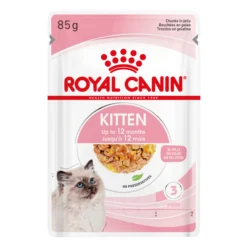 Royal Canin Kitten in Jelly - Cibo per gatti