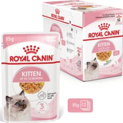 Royal Canin Kitten in Jelly - Cibo per gatti