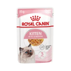 Royal Canin Kitten in Jelly - Cibo per gatti