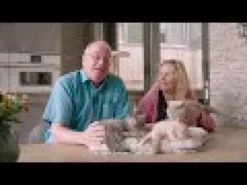Royal Canin Kitten Sterilised in Jelly - Sacchetto pasto
