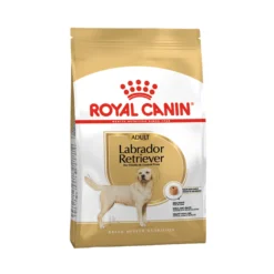 Royal Canin Labrador Retriever Adult - Cibo per Cani
