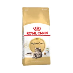 Royal Canin Maine Coon Adult - Cibo per Gatti