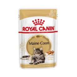 Royal Canin Maine Coon Adult Wet - Cibo per gatti
