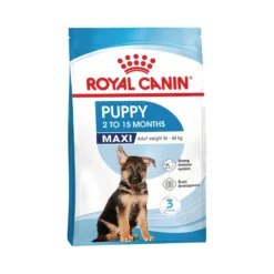 Royal Canin Maxi Puppy - Cibo per Cani