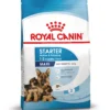 Royal Canin Maxi Starter Mother & Babydog - Cibo per cani