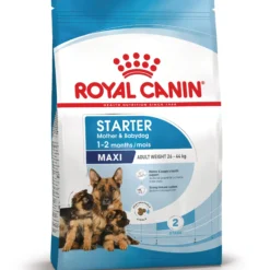 Royal Canin Maxi Starter Mother & Babydog - Cibo per cani