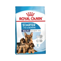 Royal Canin Maxi Starter Mother & Babydog - Cibo per cani