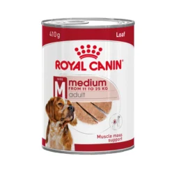Royal Canin Medium Adult Wet- Lattina - Alimento per cani