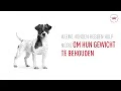Royal Canin Mini Adult Wet - Lattina - Cibo per Cani