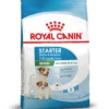 Royal Canin Mini Starter Mother & Babydog - Cibo per Cani