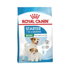 Royal Canin Mini Starter Mother & Babydog - Cibo per Cani