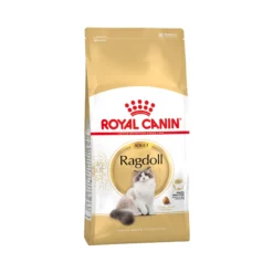 Royal Canin Ragdoll Adult - Cibo per gatti