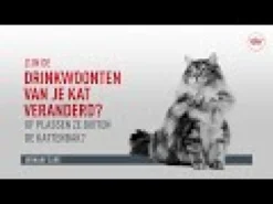 Royal Canin Urinary Care - Cibo per Gatti