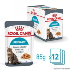 Royal Canin Urinary Care in Jelly - Cibo per gatti