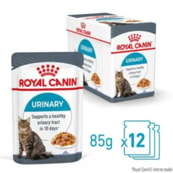 Royal Canin Urinary Care in Jelly - Cibo per gatti