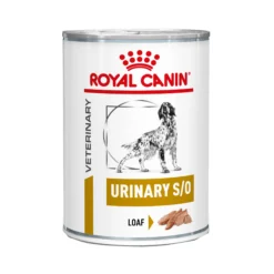Royal Canin Urinary S/O Cibo per Cani - Lattina