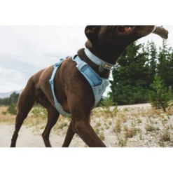 Ruffwear Front Range Flex Collar