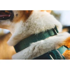 Ruffwear Front Range Flex Collar