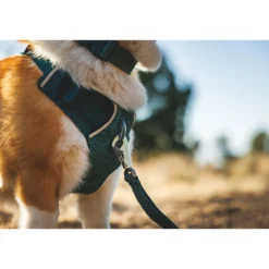 Ruffwear Front Range Flex Harness