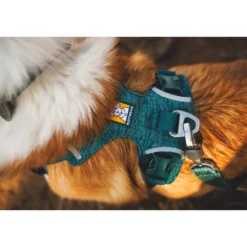 Ruffwear Front Range Flex Harness