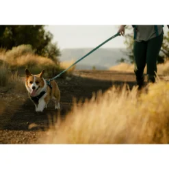 Ruffwear Front Range Flex Leash