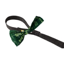 Ruffwear Front Range Flex Leash