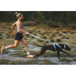 Ruffwear Front Range Flex Leash