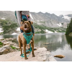 Ruffwear Front Range Harness