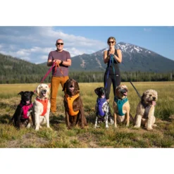 Ruffwear Front Range Harness