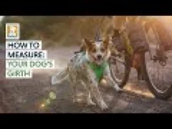 Ruffwear Swamp Cooler