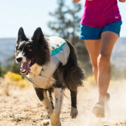 Ruffwear Swamp Cooler