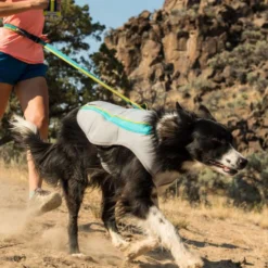 Ruffwear Swamp Cooler
