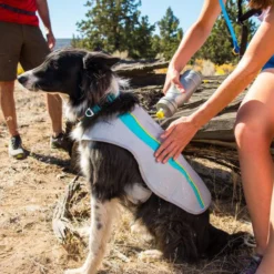 Ruffwear Swamp Cooler