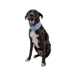 Ruffwear Swamp Cooler Neck Gaiter