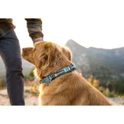 Ruffwear Web Reaction Collare