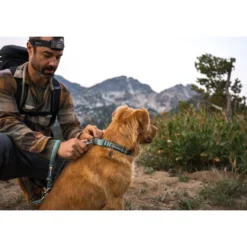 Ruffwear Web Reaction Collare