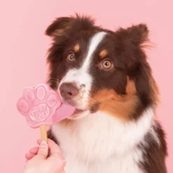 Smoofl Ice Mix for Dogs