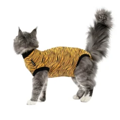 Suitical Recovery Suit Gatto