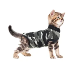 Suitical Recovery Suit Gatto