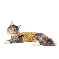 Suitical Recovery Suit Gatto