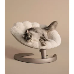 Tavo Pets Shell