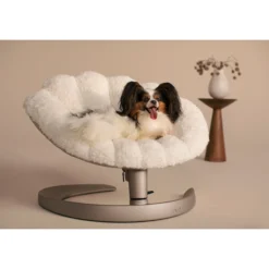Tavo Pets Shell