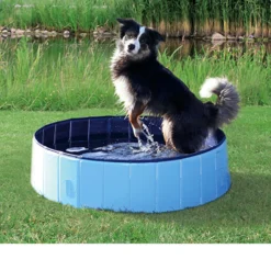 Trixie Dog Pool