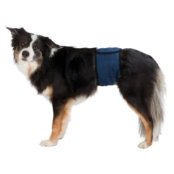 Trixie Fascia per pipì per maschi