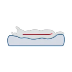 Trixie Materasso Ortopedico Vital Lonni