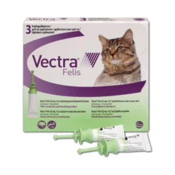 Vectra Felis