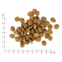 VegDog Green Crunch Cibo per cani