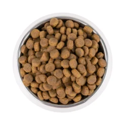 Vetality Adult Maxi - Cibo per Cani